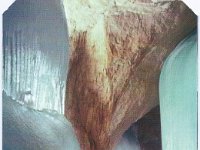 Ice Cave Tix